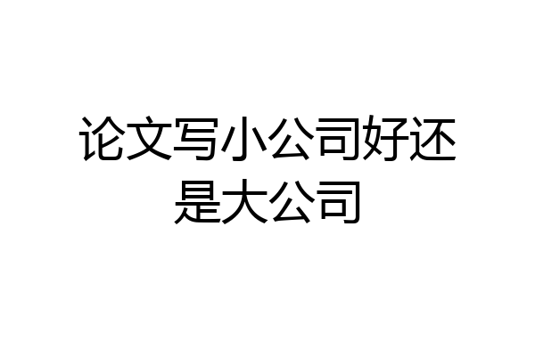 论文写小公司好还是大公司