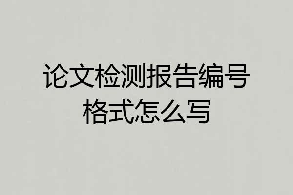 论文检测报告编号格式怎么写