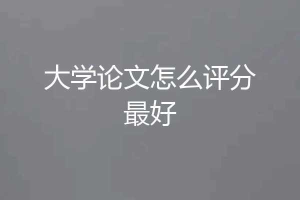 大学论文怎么评分最好