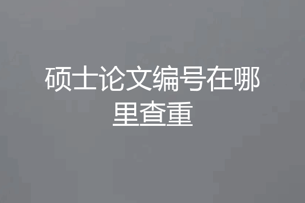 硕士论文编号在哪里查重