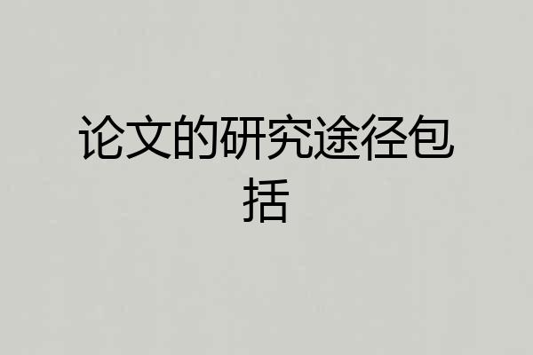论文的研究途径包括