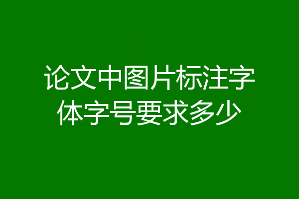 论文中图片标注字体字号要求多少