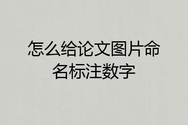 怎么给论文图片命名标注数字