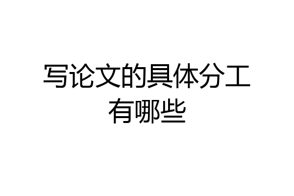 写论文的具体分工有哪些