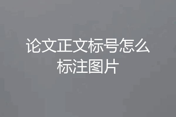 论文正文标号怎么标注图片