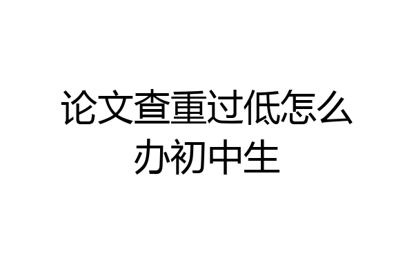 论文查重过低怎么办初中生