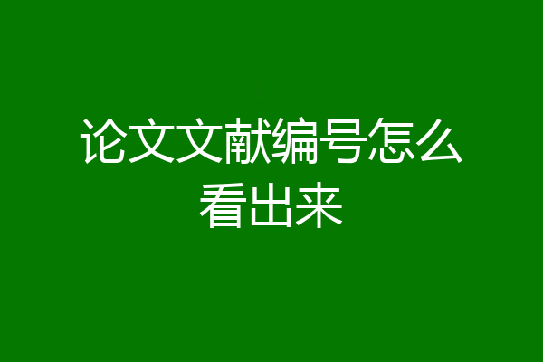 论文文献编号怎么看出来