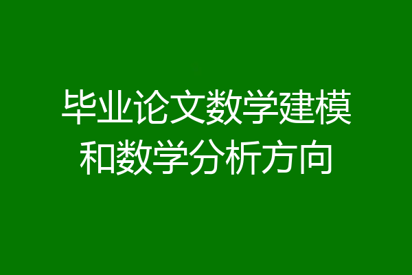 毕业论文数学建模和数学分析方向