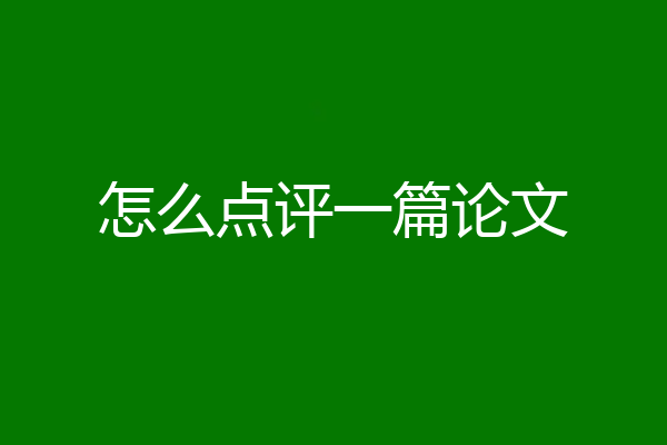 怎么点评一篇论文
