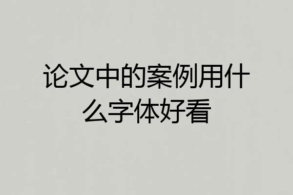 论文中的案例用什么字体好看