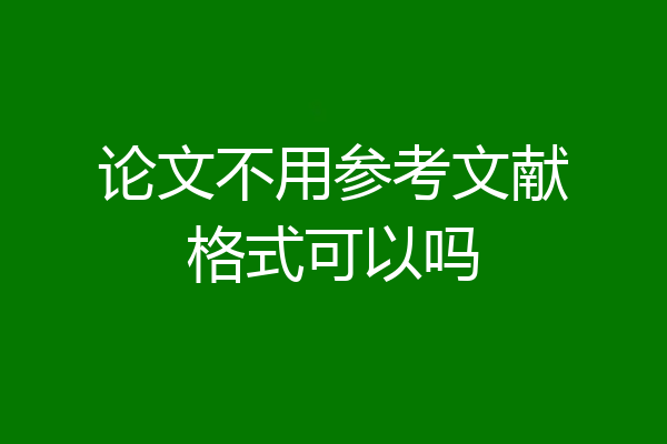 论文不用参考文献格式可以吗