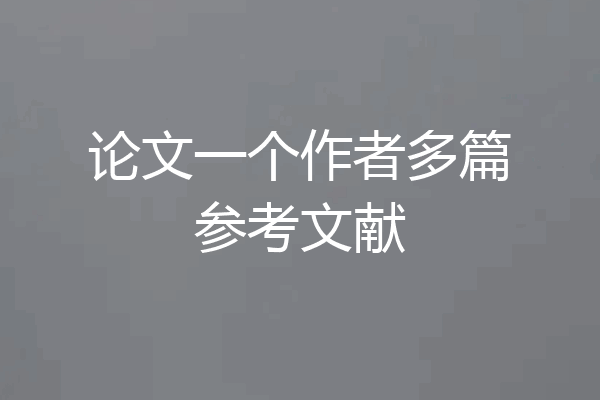 论文一个作者多篇参考文献