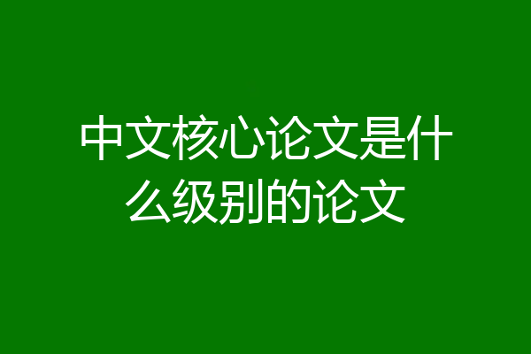 中文核心论文是什么级别的论文
