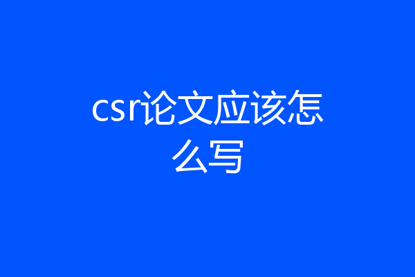 csr论文应该怎么写