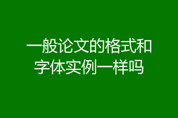 一般论文的格式和字体实例一样吗