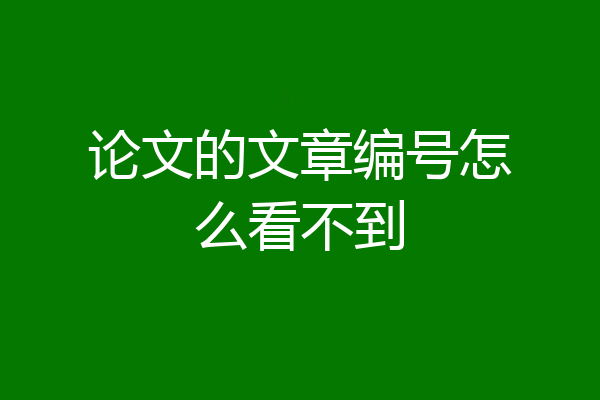 论文的文章编号怎么看不到
