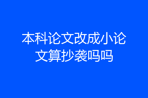本科论文改成小论文算抄袭吗吗