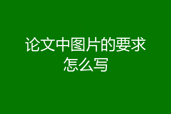 论文中图片的要求怎么写