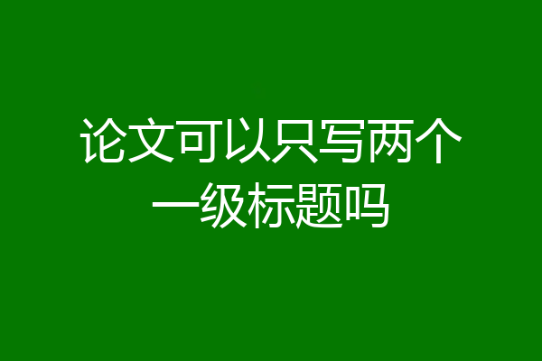 论文可以只写两个一级标题吗