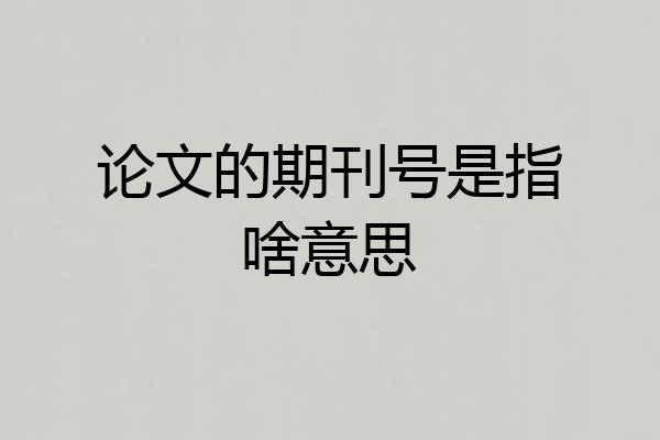 论文的期刊号是指啥意思