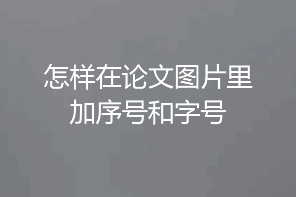 怎样在论文图片里加序号和字号