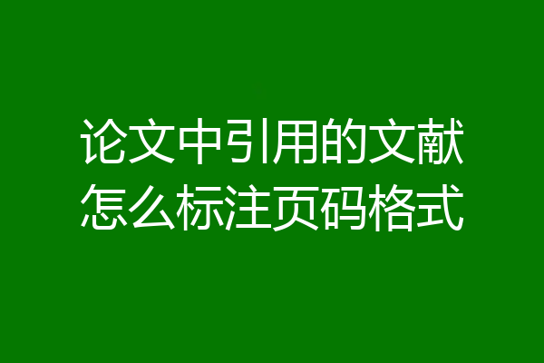 论文中引用的文献怎么标注页码格式
