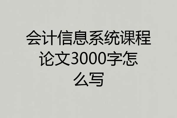 会计信息系统课程论文3000字怎么写