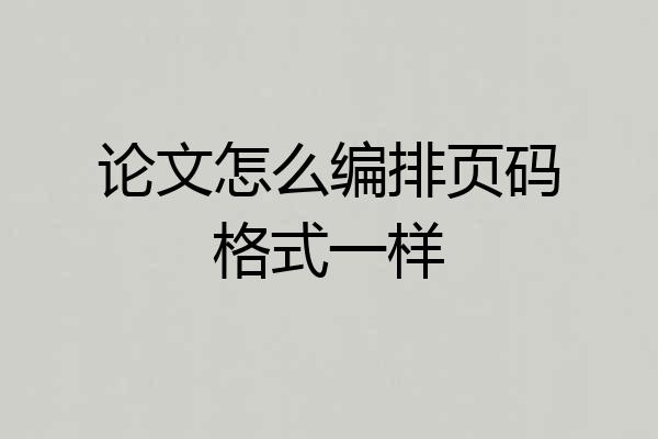 论文怎么编排页码格式一样