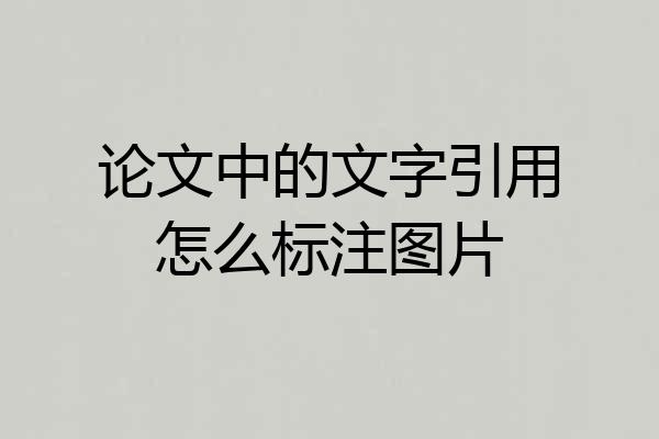 论文中的文字引用怎么标注图片