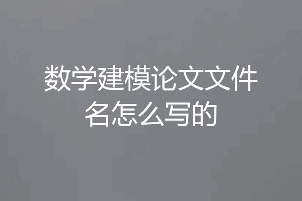 数学建模论文文件名怎么写的
