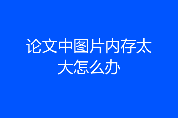 论文中图片内存太大怎么办