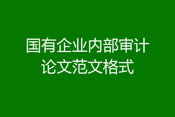 国有企业内部审计论文范文格式