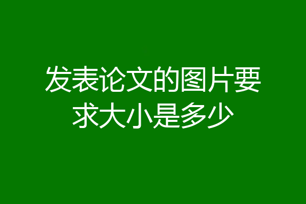 发表论文的图片要求大小是多少