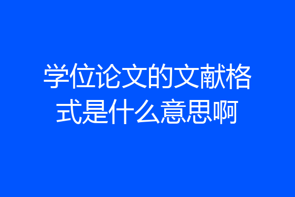 学位论文的文献格式是什么意思啊
