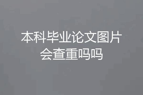 本科毕业论文图片会查重吗吗