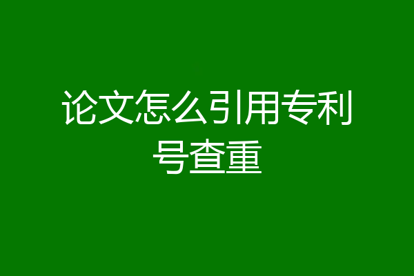 论文怎么引用专利号查重