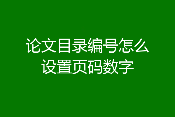 论文目录编号怎么设置页码数字