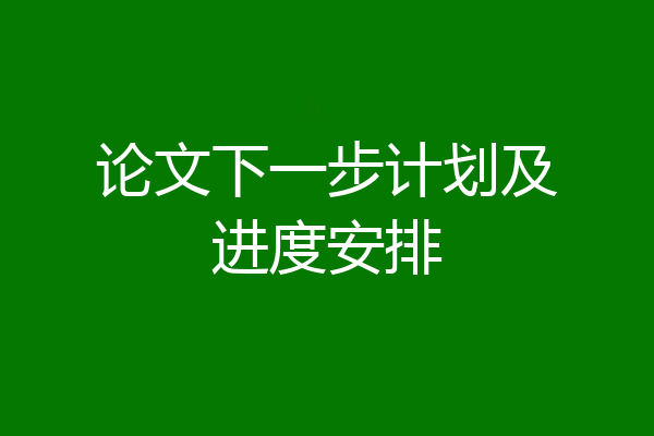 论文下一步计划及进度安排