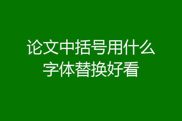 论文中括号用什么字体替换好看