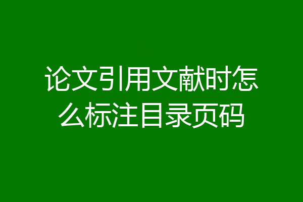 论文引用文献时怎么标注目录页码