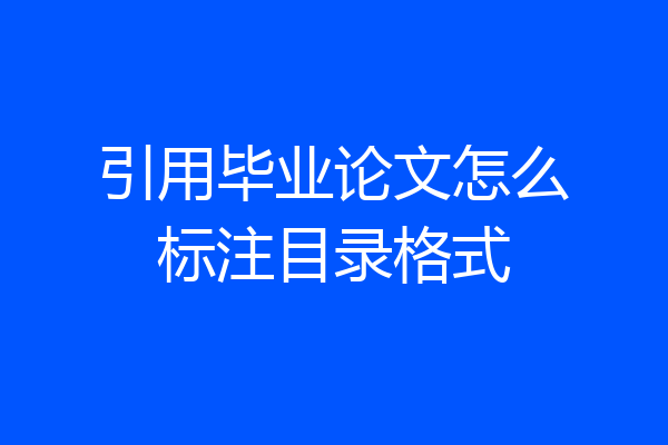 引用毕业论文怎么标注目录格式