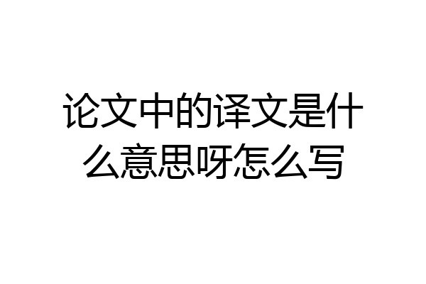 论文中的译文是什么意思呀怎么写