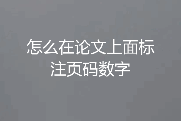 怎么在论文上面标注页码数字