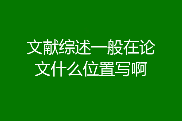 文献综述一般在论文什么位置写啊