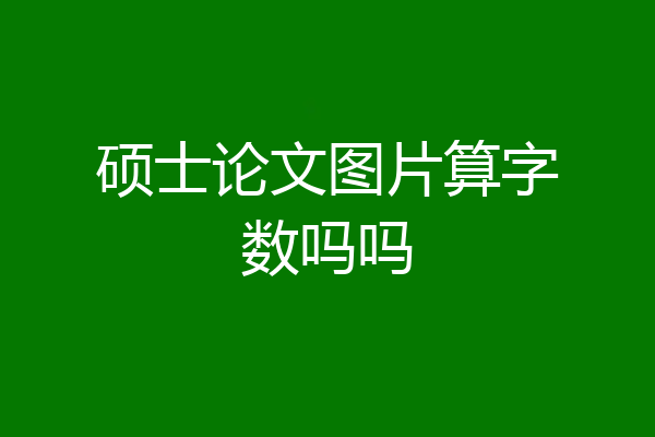 硕士论文图片算字数吗吗