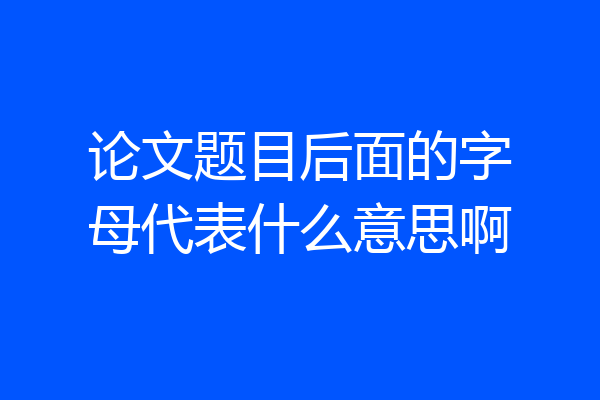 论文题目后面的字母代表什么意思啊