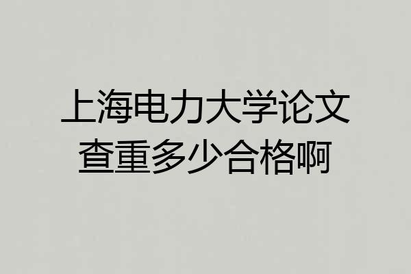 上海电力大学论文查重多少合格啊