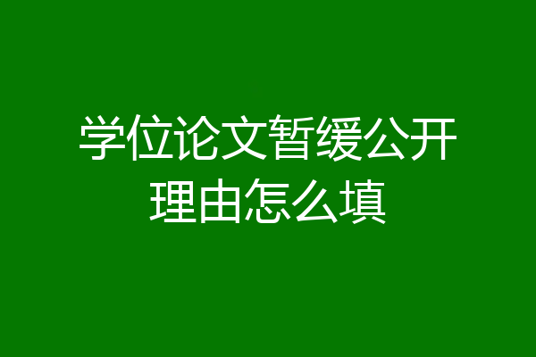 学位论文暂缓公开理由怎么填