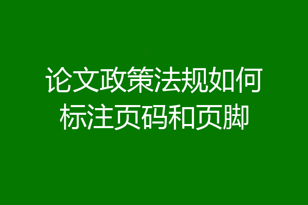 论文政策法规如何标注页码和页脚