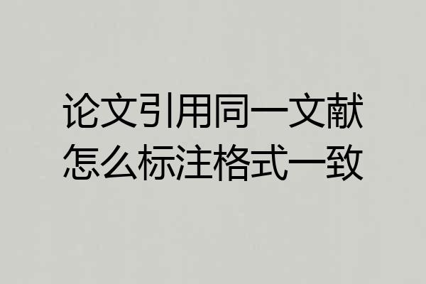 论文引用同一文献怎么标注格式一致